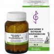 Biochemie 9 Natrium phosphoricum D 6 Tabletten